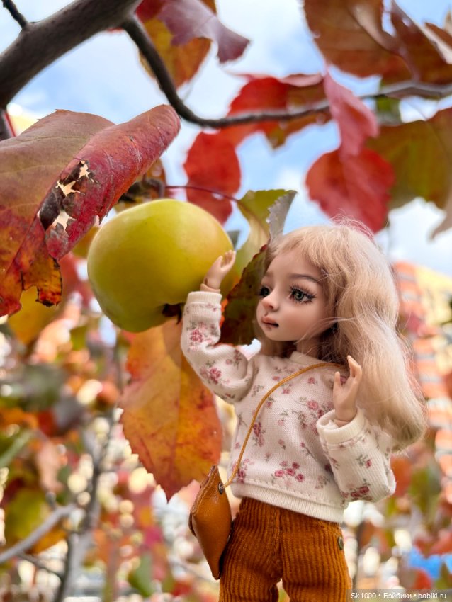 С любимым мишкой — Разные куклы BJD (БЖД): редкие бренды (фото 9)