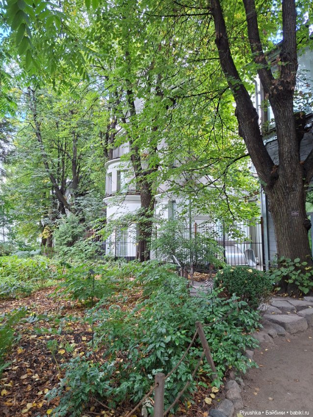 Наоми — Куклы Барби (фото 2)