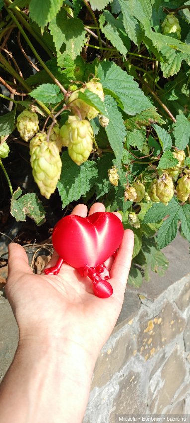 Сердечная прогулка — Прочие игровые куклы для девочек