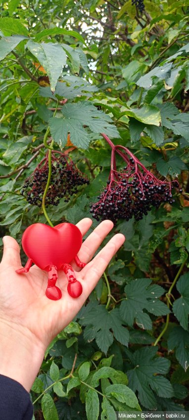 Сердечная прогулка — Прочие игровые куклы для девочек