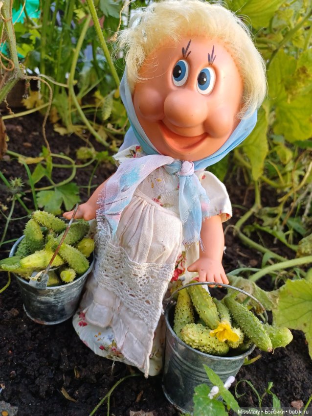 Как Фаина огурцы собирала 🥒🥒🥒