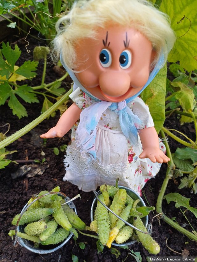Как Фаина огурцы собирала 🥒🥒🥒 (фото 9)