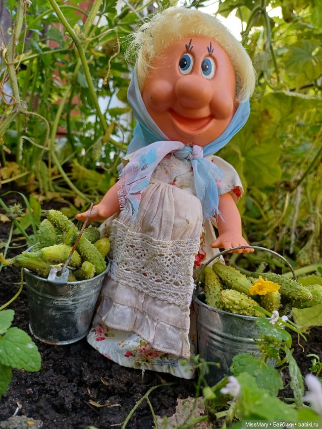 Как Фаина огурцы собирала 🥒🥒🥒
