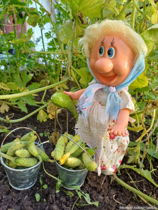 Как Фаина огурцы собирала 🥒🥒🥒 (фото 7)