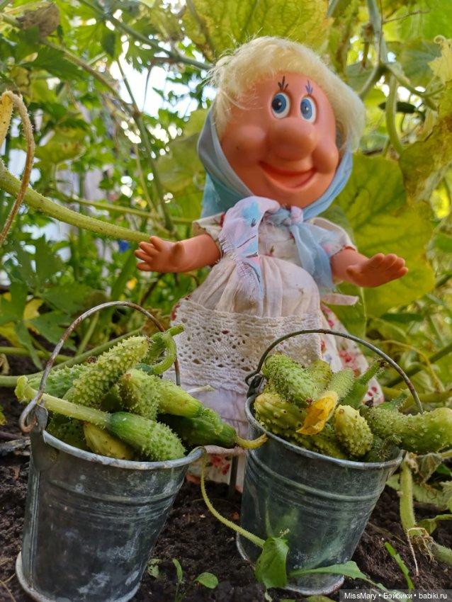 Как Фаина огурцы собирала 🥒🥒🥒