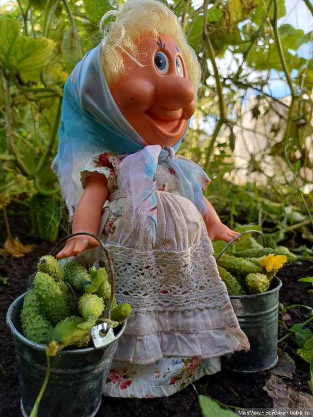 Как Фаина огурцы собирала 🥒🥒🥒