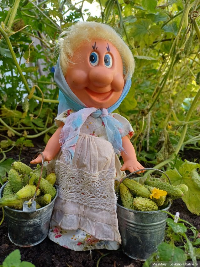 Как Фаина огурцы собирала 🥒🥒🥒