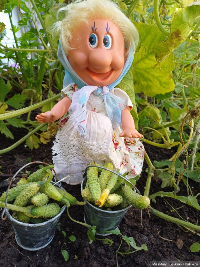Как Фаина огурцы собирала 🥒🥒🥒 (фото 8)