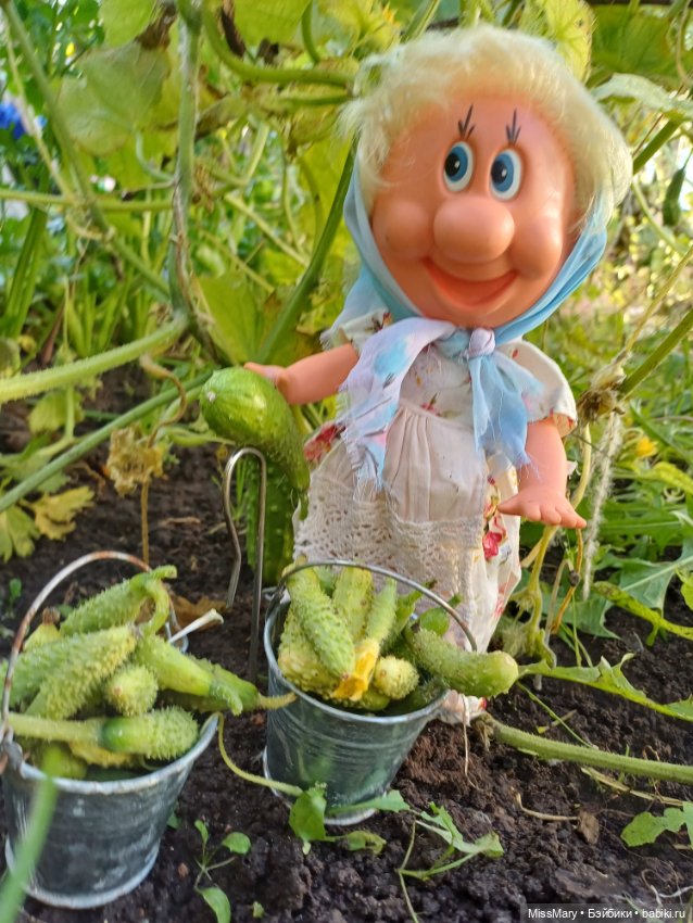 Как Фаина огурцы собирала 🥒🥒🥒 (фото 6)