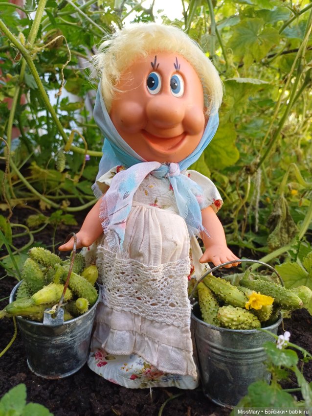 Как Фаина огурцы собирала 🥒🥒🥒