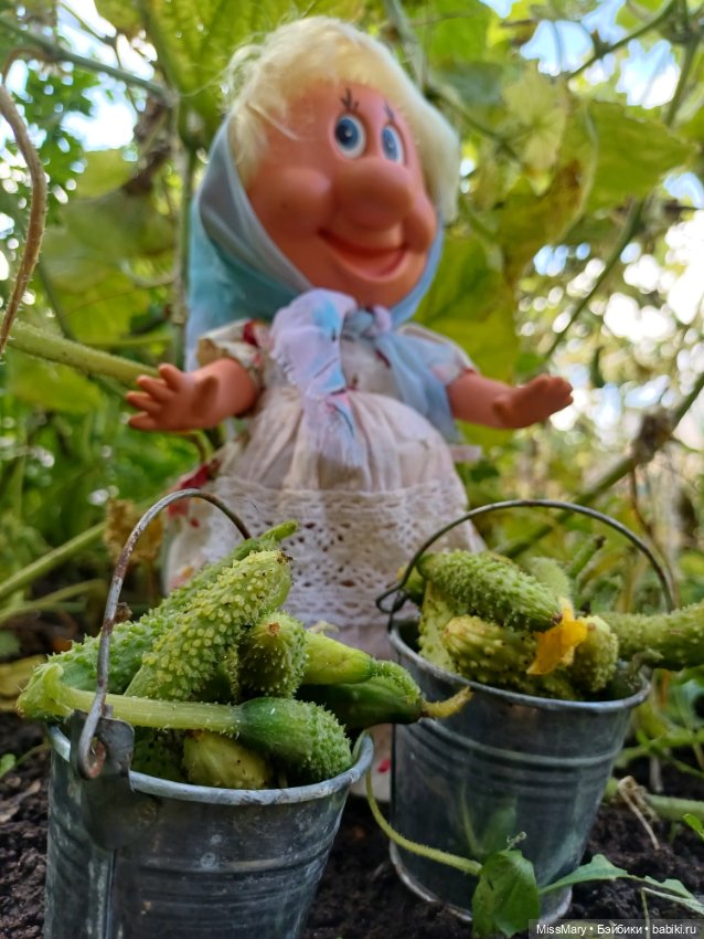 Как Фаина огурцы собирала 🥒🥒🥒 (фото 10)