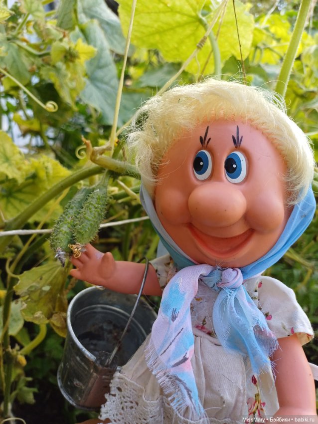 Как Фаина огурцы собирала 🥒🥒🥒 (фото 5)