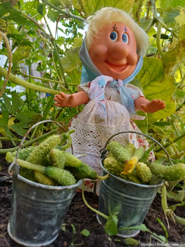 Как Фаина огурцы собирала 🥒🥒🥒