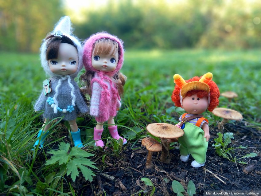 Гости из леса... Или грибалка на заднем дворе
