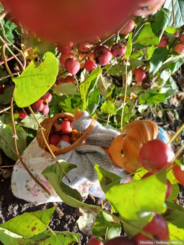 Ульяна и яблоки 🍎🍎🍎 — Винтажные куклы ГДР (Немки): Бигги (фото 7)