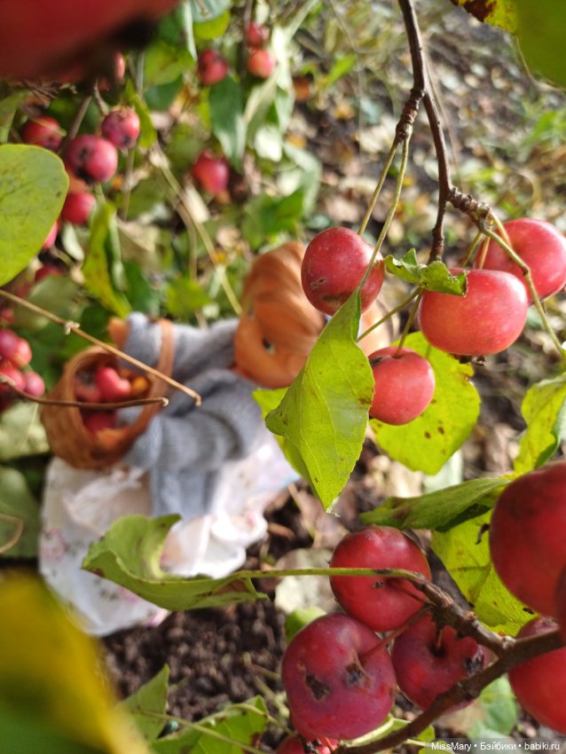 Ульяна и яблоки 🍎🍎🍎 — Винтажные куклы ГДР (Немки): Бигги (фото 5)