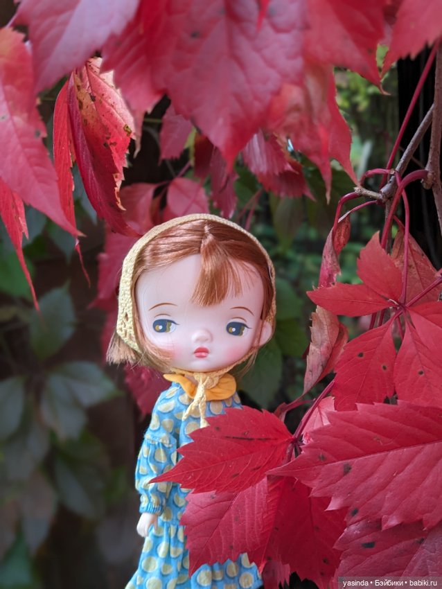 Ододо — Куклы Strawberry Planet: Redberry (фото 5)