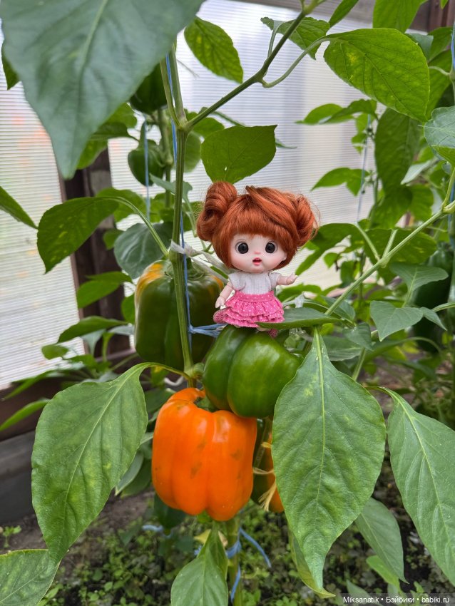 Мои новые куклёныши - Стёпа и Маринка (фото 8)