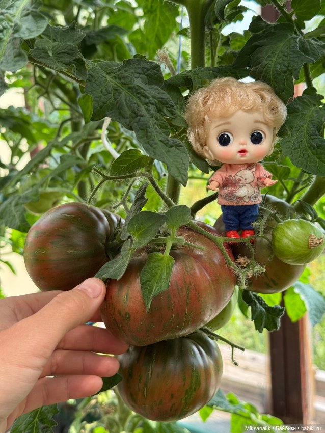 Мои новые куклёныши - Стёпа и Маринка