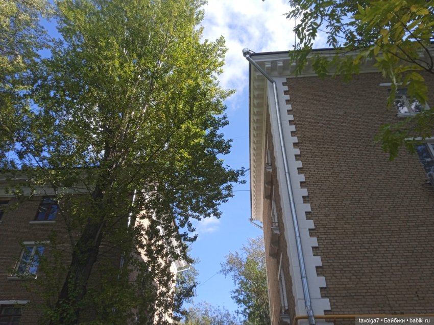 Тургенев. Ла Вита э Белла