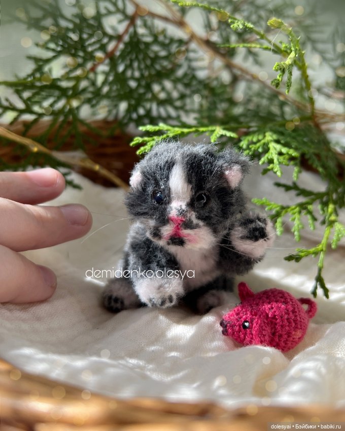 Миниатюрные котята Чудо и Принц ✨💓 (фото 9)