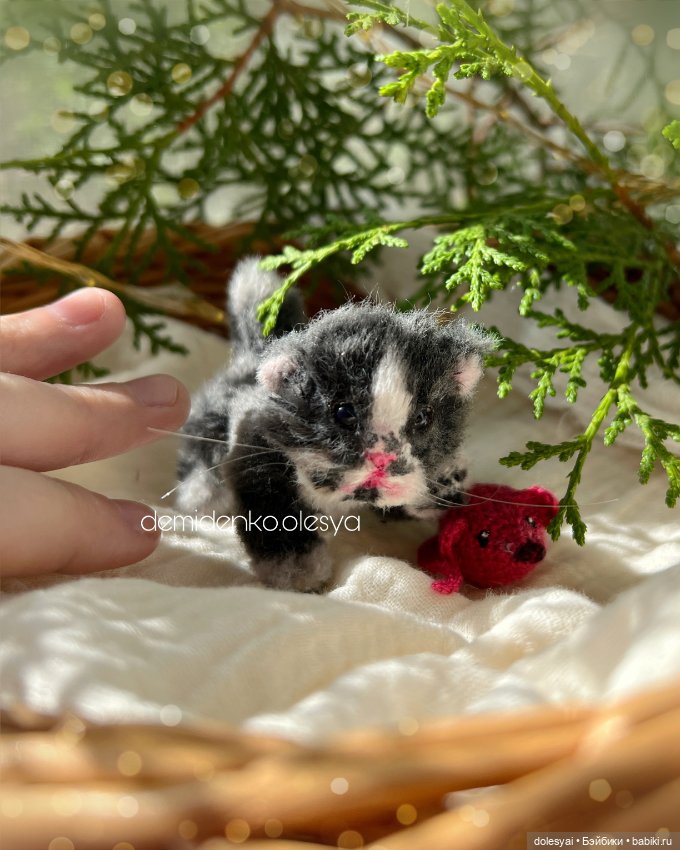 Миниатюрные котята Чудо и Принц ✨💓 (фото 8)