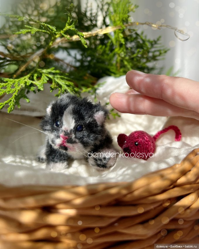 Миниатюрные котята Чудо и Принц ✨💓