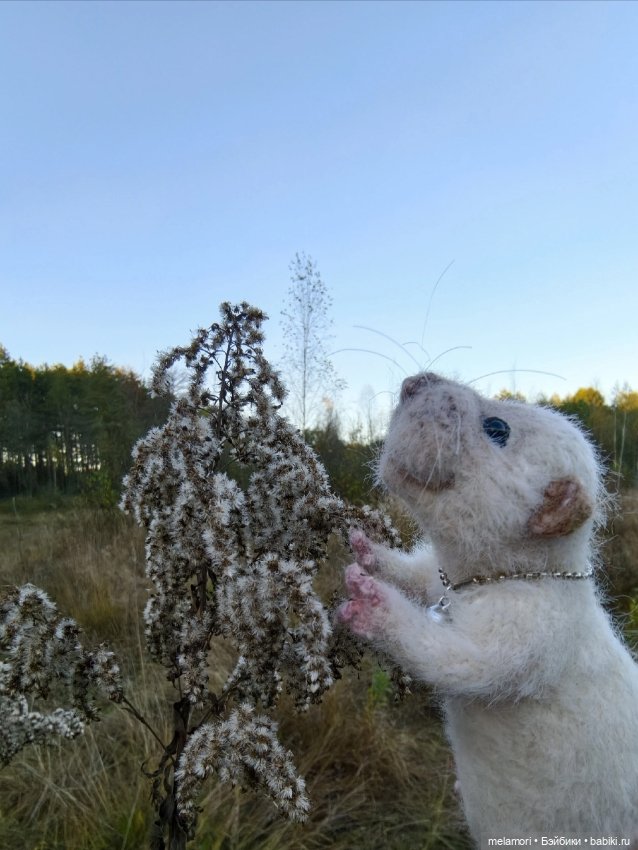 Жорж Милославский . Самостоятельный 😆