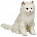 Наша Мурлыка