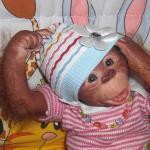 Новые фото! Мой юбилейный реборнчик  - Обезьянка Читочка