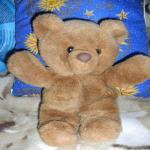 Мишки Тэдди и другие