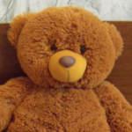 О нашем мишке тедди - Мишутка