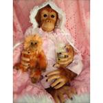 Что за молд у обезьянки?