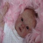 Ну вот и моя кукла реборн София подтянулась к остальным