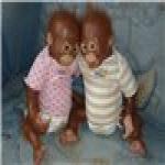 Привет от хулиганов!Бони и Клайд