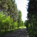 Кусочек солнечного лета