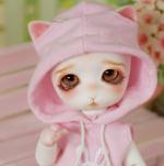 Шарнирные котики, мышки, кролики