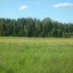 Широка страна моя родная