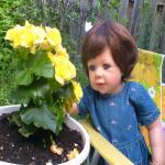 Лето, лето, лето...