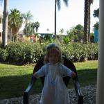 Моя Дашенька приехала со мной из Испании.Это её родина!