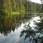 И снова мы и наши пейзажи (мои малыши реборн )