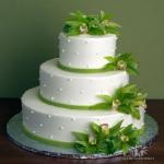 Наша дружная семья