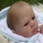 Девочки, помоги пожалуйста. Подскажите что это за молд?