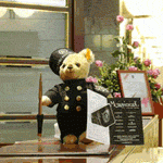 Мишки Тедди и Гранд Отель Европа