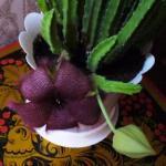 В первый погожий сентябрьский денек...