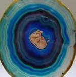 Авторские работы - куклы Saskia Hoeboer dolls