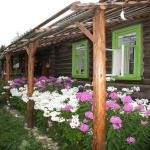 Приглашаю всех в гости ко мне на дачу!