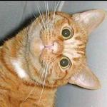 Позитифф!! Прибавила еще!