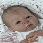 В ноябре в продаже появятся два новых молда.