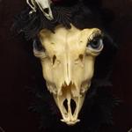 Мрачные куклы Esther Verschoor